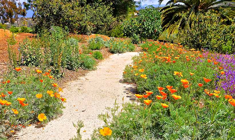 Garden Map - Niguel Botanical Preserve